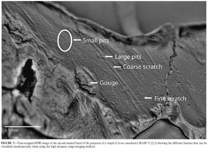 Figure 2 for website