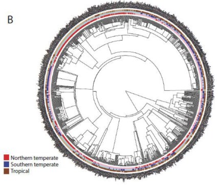 Figure 4 for website