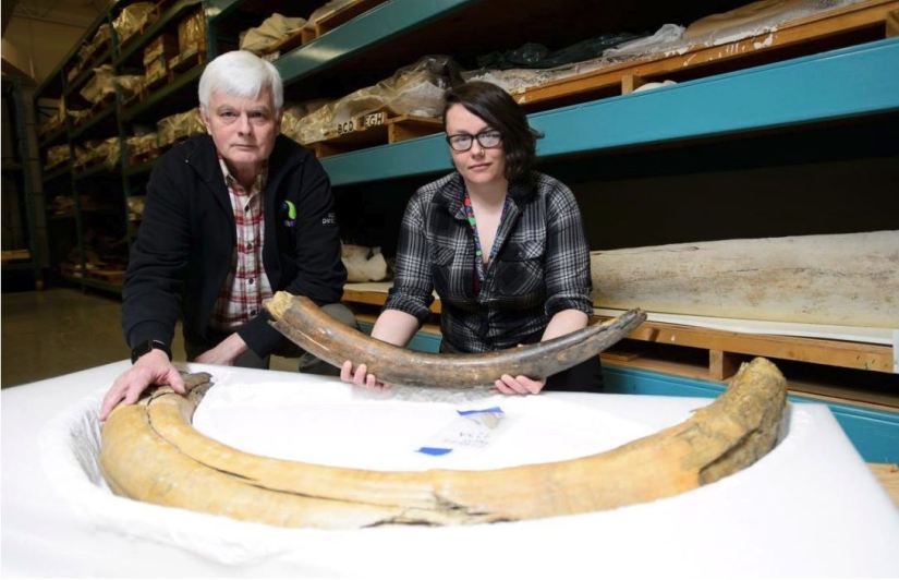 Kieran and I with tusks